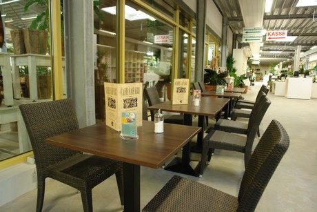 cafe-safari