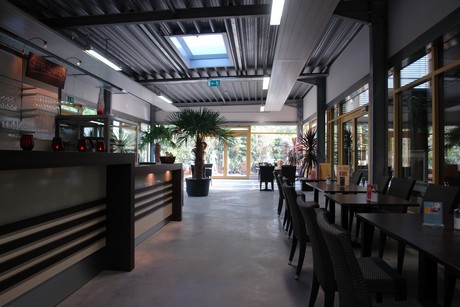 cafe-safari