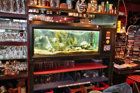 piranha