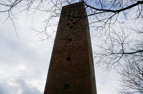 bartholomaeus