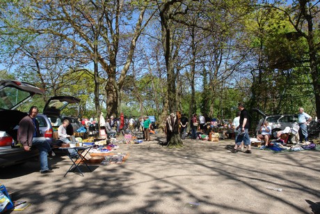troedelmarkt-galopprennbahn