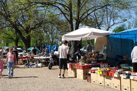 troedelmarkt-galopprennbahn