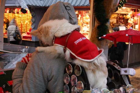 weihnachtsmarkt-neumarkt