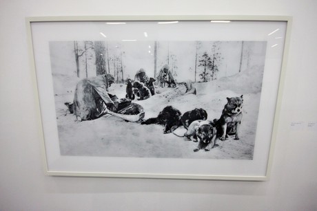 art-cologne