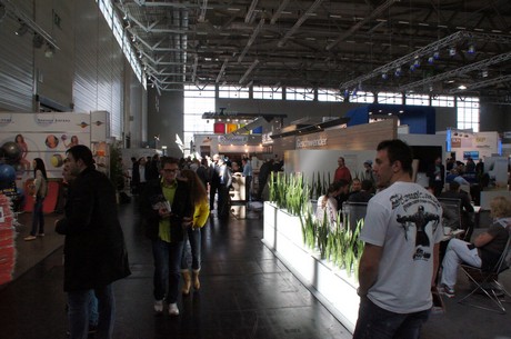 fibo