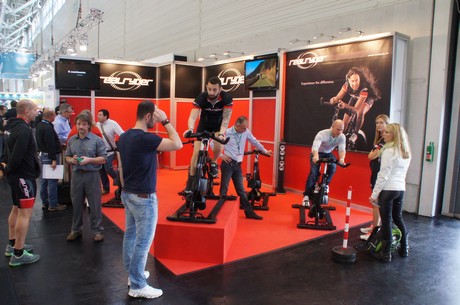 fibo