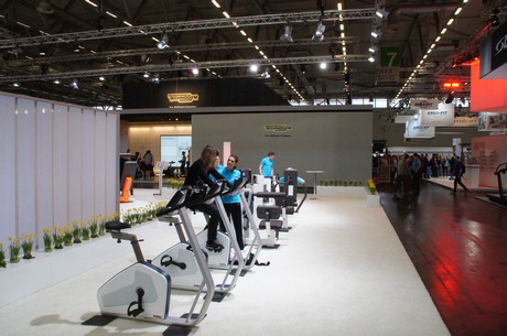 fibo