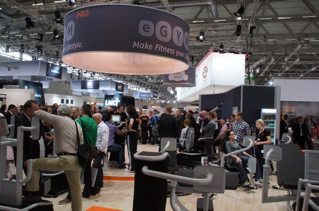 fibo