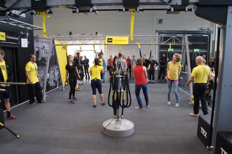fibo