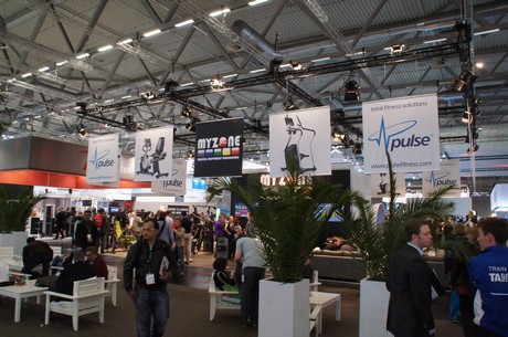 fibo
