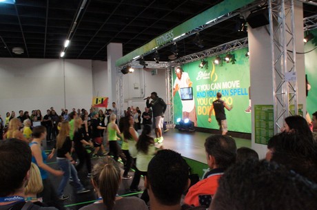 fibo