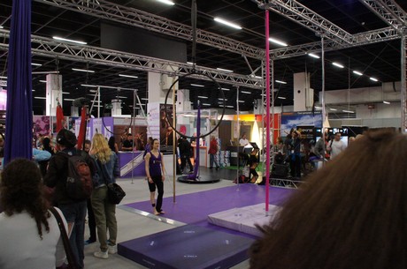 fibo
