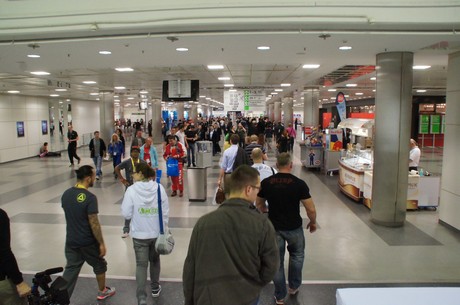 fibo