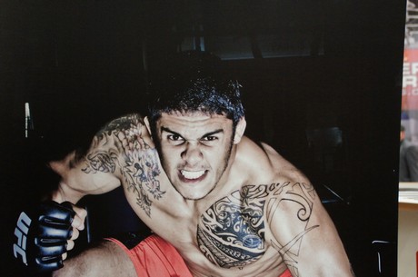 fibo