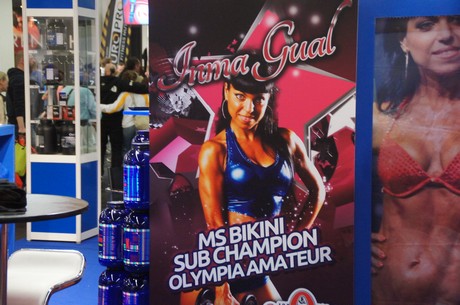 fibo