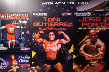 fibo