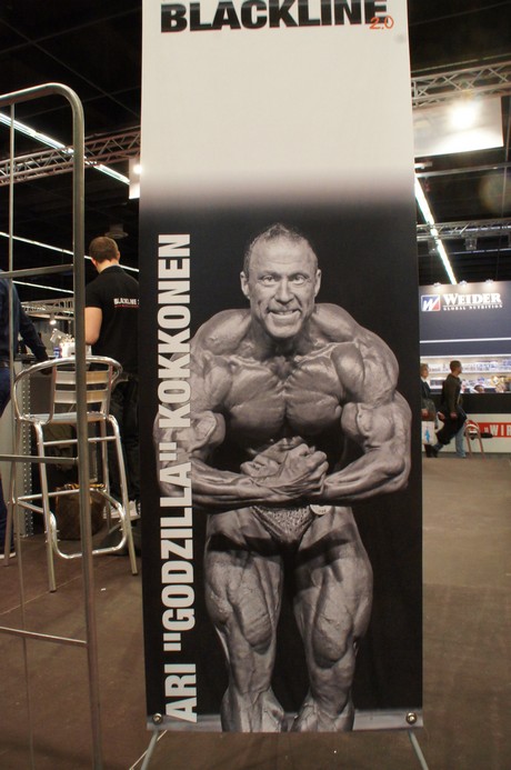 fibo