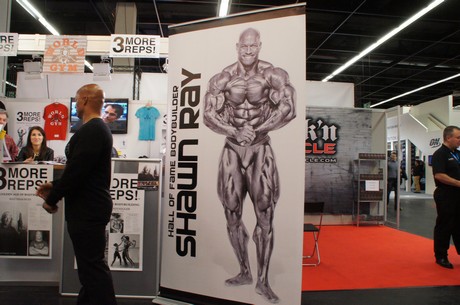 fibo