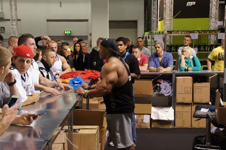 fibo