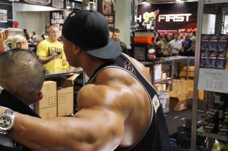 fibo