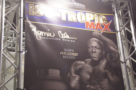 fibo