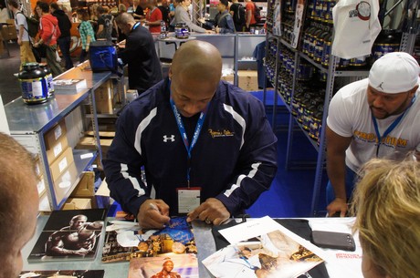 fibo
