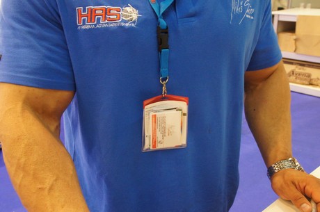 fibo