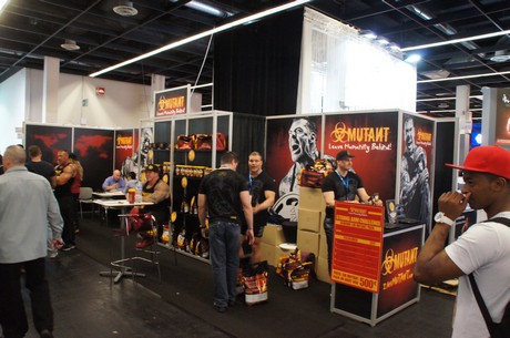 fibo
