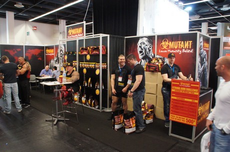fibo