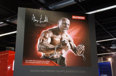 fibo