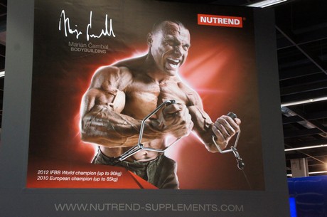 fibo