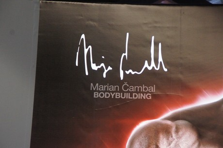 fibo
