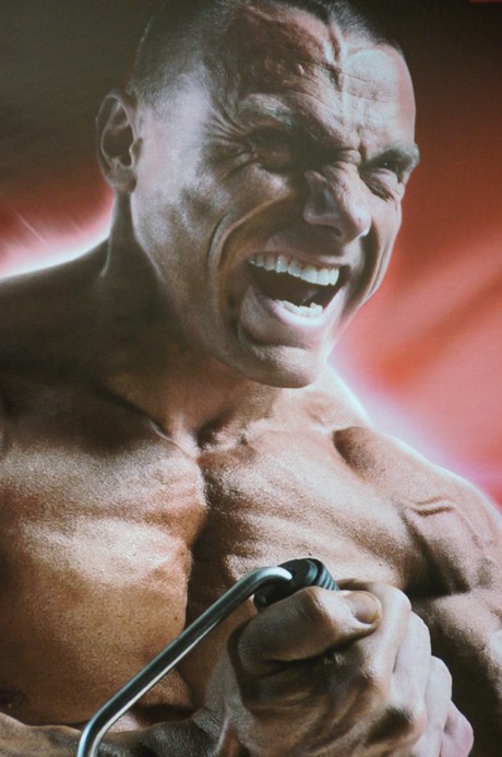 fibo