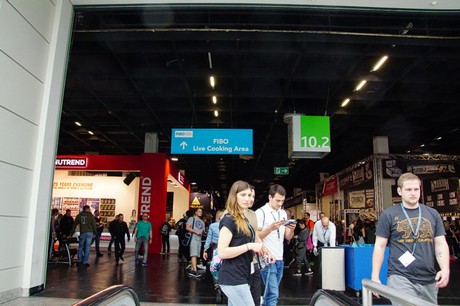fibo