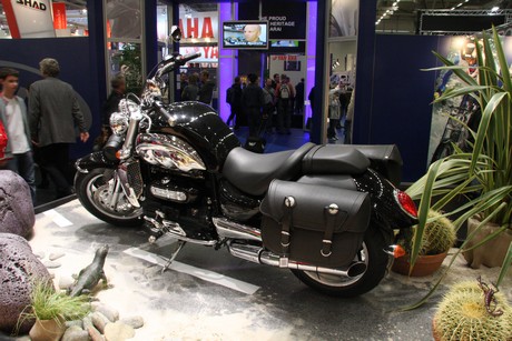intermot