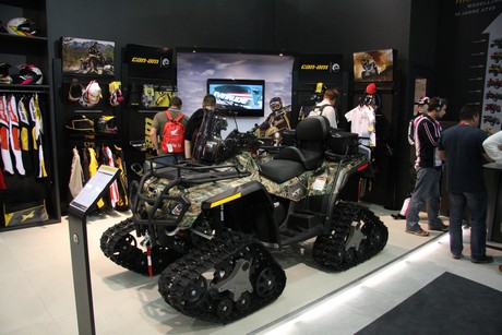 intermot
