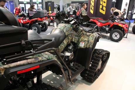 intermot