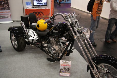 intermot