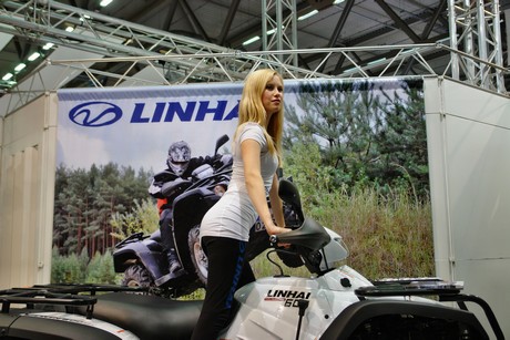 intermot