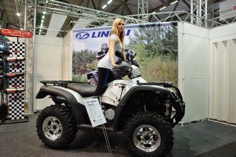 intermot
