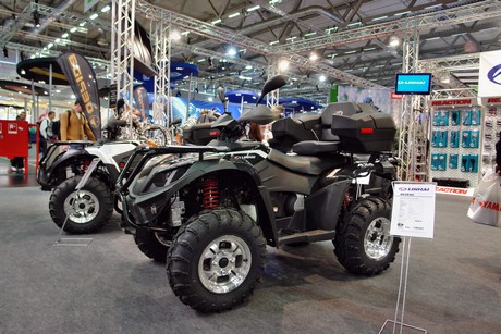 intermot