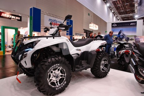 intermot