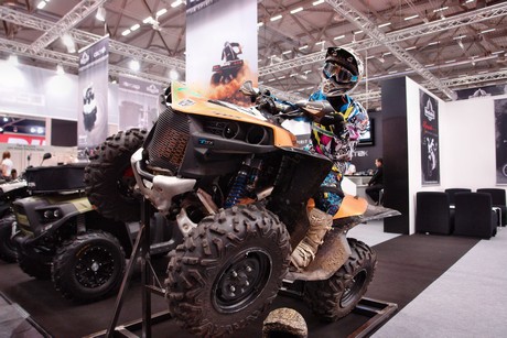 intermot