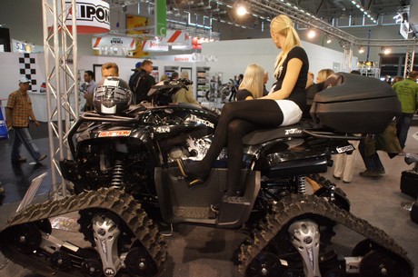 intermot