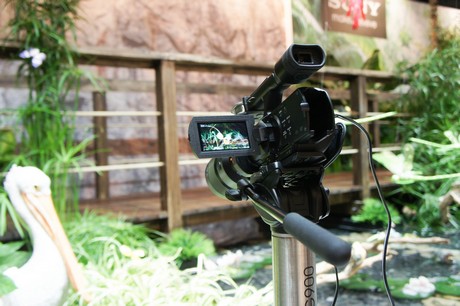 photokina-2012