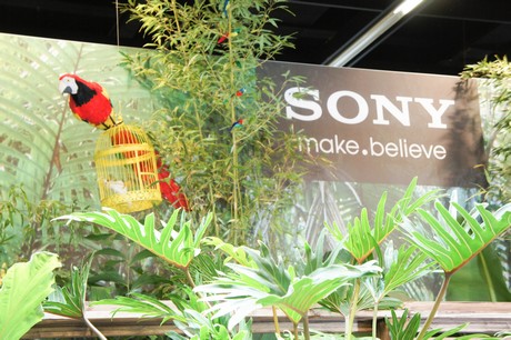 photokina-2012