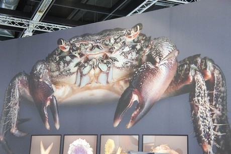 photokina-2012