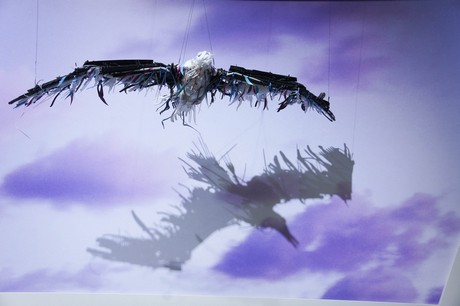 photokina-2012