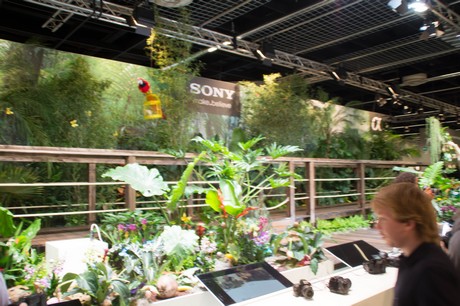photokina-2012