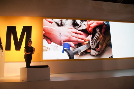 photokina-2012
